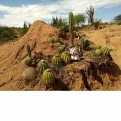 CHULLANKA PELUCHE ALPHA -Vélo Soldes 2023 160b8920d9ab4f08d918bdcc4c3f