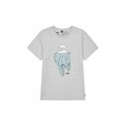 Picture Organic Clothing T-SHIRT CC ARRIGA TEE GREY MELANGE
