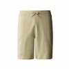 The North Face SHORT GRAPHIC LIGHT-EU GRAVE